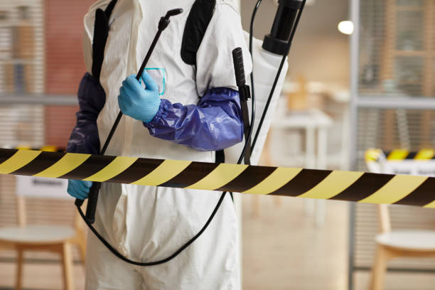 Professional Hoarding Cleanup technician working in Natural Dam, AR